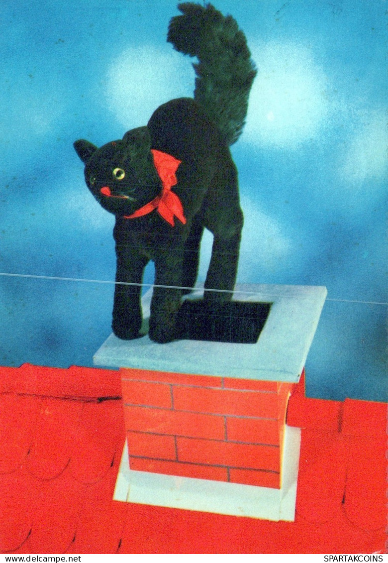 GATTO KITTY Animale Vintage Cartolina CPSM #PAM223.A - Chats