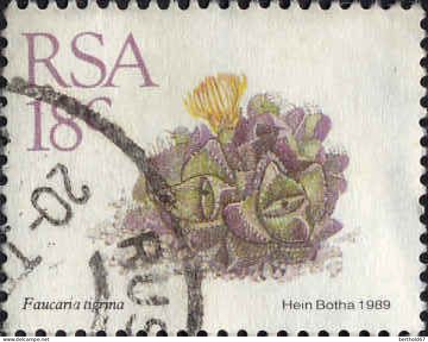 Afrique Du Sud Poste Obl Yv: 687 Mi:770 Faucaria Tigrina (TB Cachet Rond) - Used Stamps