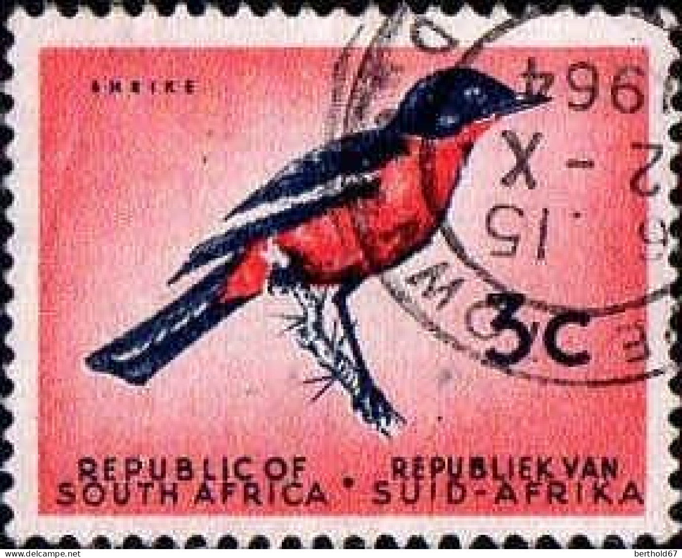 Afrique Du Sud Poste Obl Yv: 253 Mi:292 Laniarius Atrococcineus (TB Cachet Rond) - Oblitérés