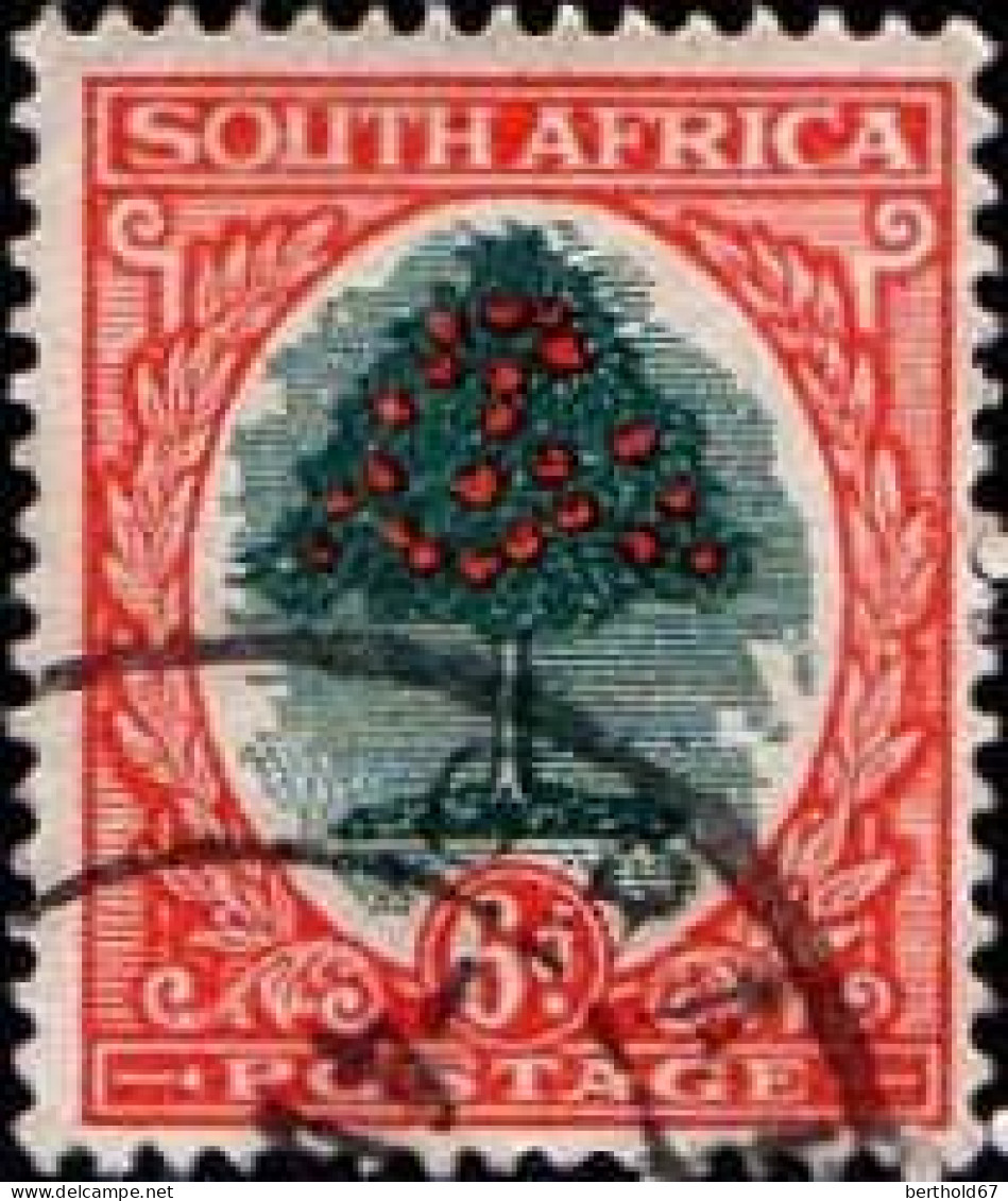 Afrique Du Sud Poste Obl Yv:  21 Mi:28 Oranger (TB Cachet Rond) - Oblitérés