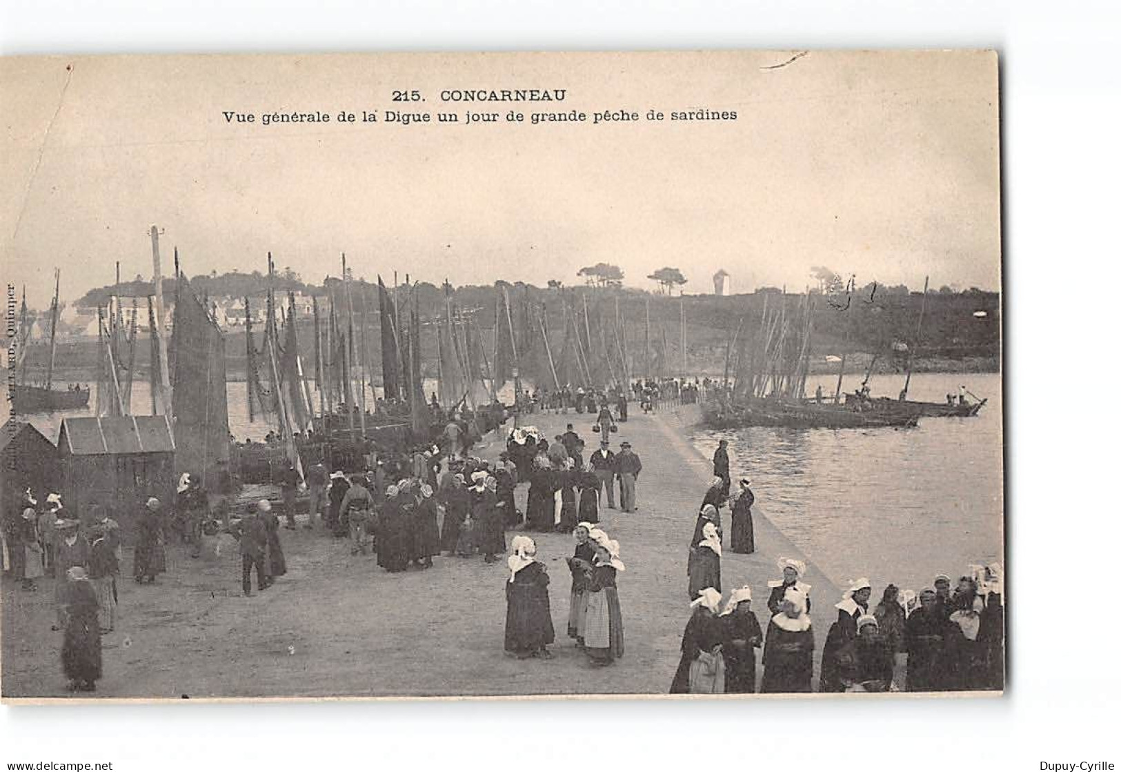 CONCARNEAU - Vue Générale De La Digue Un Jour De Grande Pêche De Sardines - Très Bon état - Concarneau