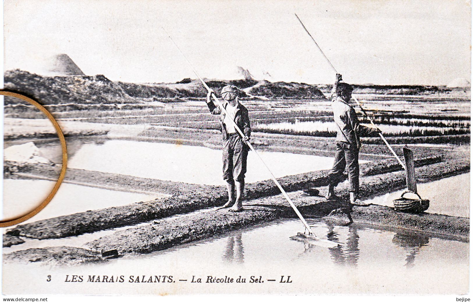 44 Loire Atlantique Marais Salants Récolte Du Sel - Altri & Non Classificati
