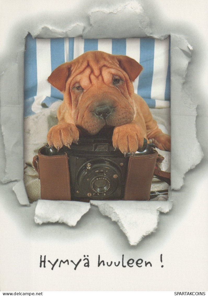PERRO Animales Vintage Tarjeta Postal CPSM #PAN878.A - Honden