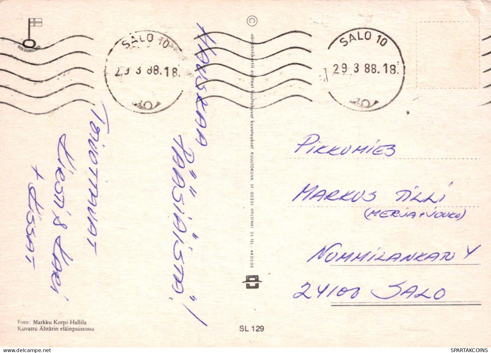 EASTER RABBIT Vintage Postcard CPSM #PBO471.A - Ostern