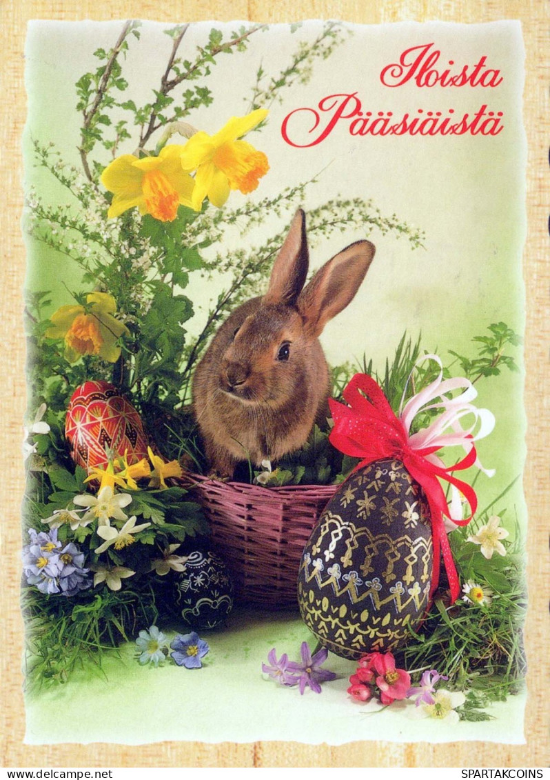 PÂQUES LAPIN Vintage Carte Postale CPSM #PBO494.A - Easter