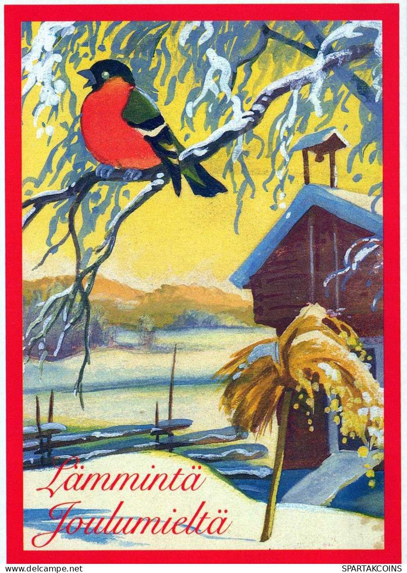 Buon Anno Natale UCCELLO Vintage Cartolina CPSM #PBM706.A - Neujahr