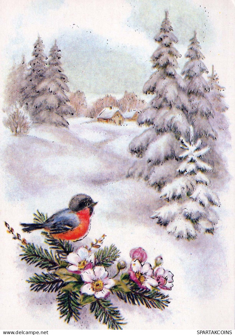 Feliz Año Navidad PÁJARO Vintage Tarjeta Postal CPSM #PBM630.A - Neujahr