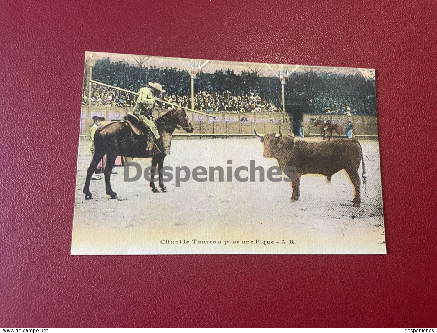 Citant Le Taureau Pour Une Pique - Corrida