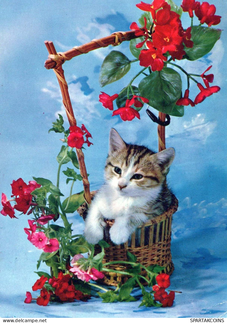 KATZE Tier Vintage Ansichtskarte Postkarte CPSM #PBS964.A - Cats