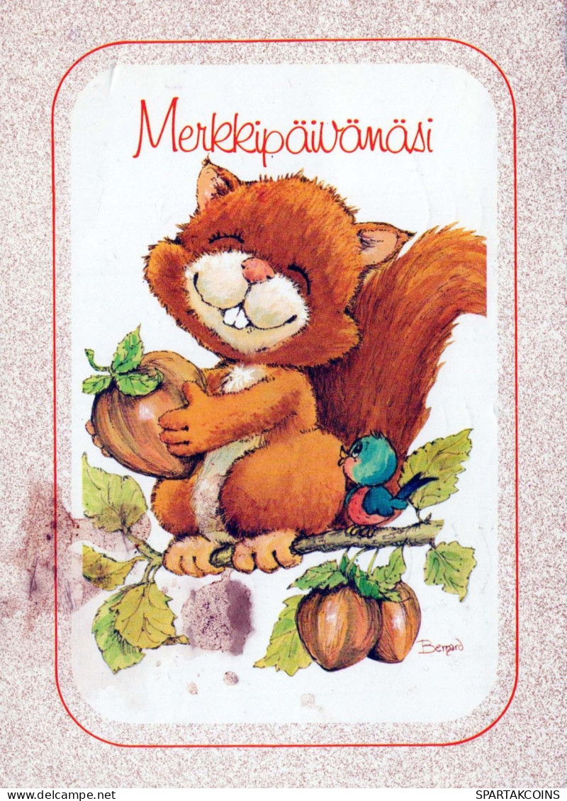 SCOIATTOLO Animale Vintage Cartolina CPSM #PBS717.A - Altri & Non Classificati