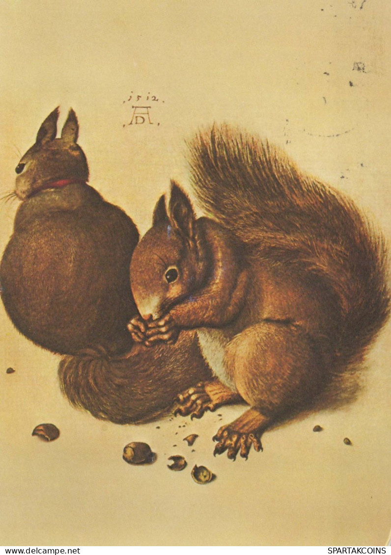 ARDILLA Animales Vintage Tarjeta Postal CPSM #PBS711.A - Altri & Non Classificati