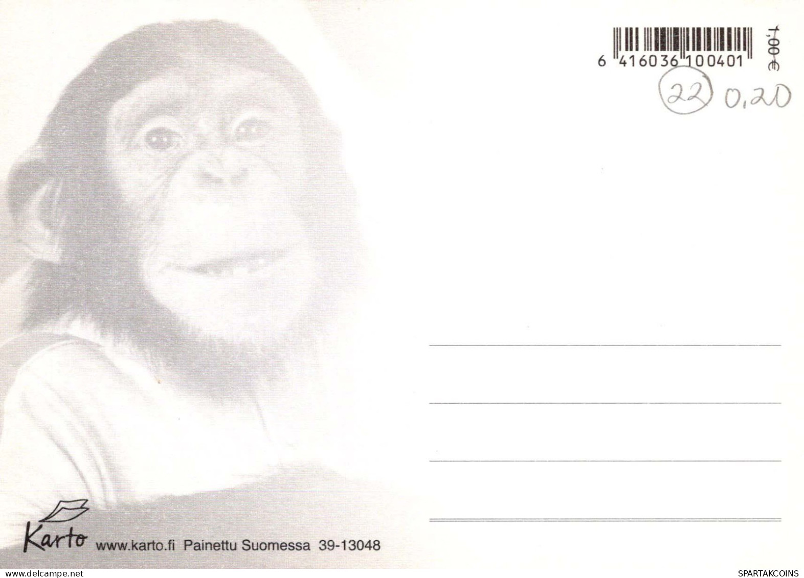 MONKEY Animals Vintage Postcard CPSM #PBR974.A - Singes