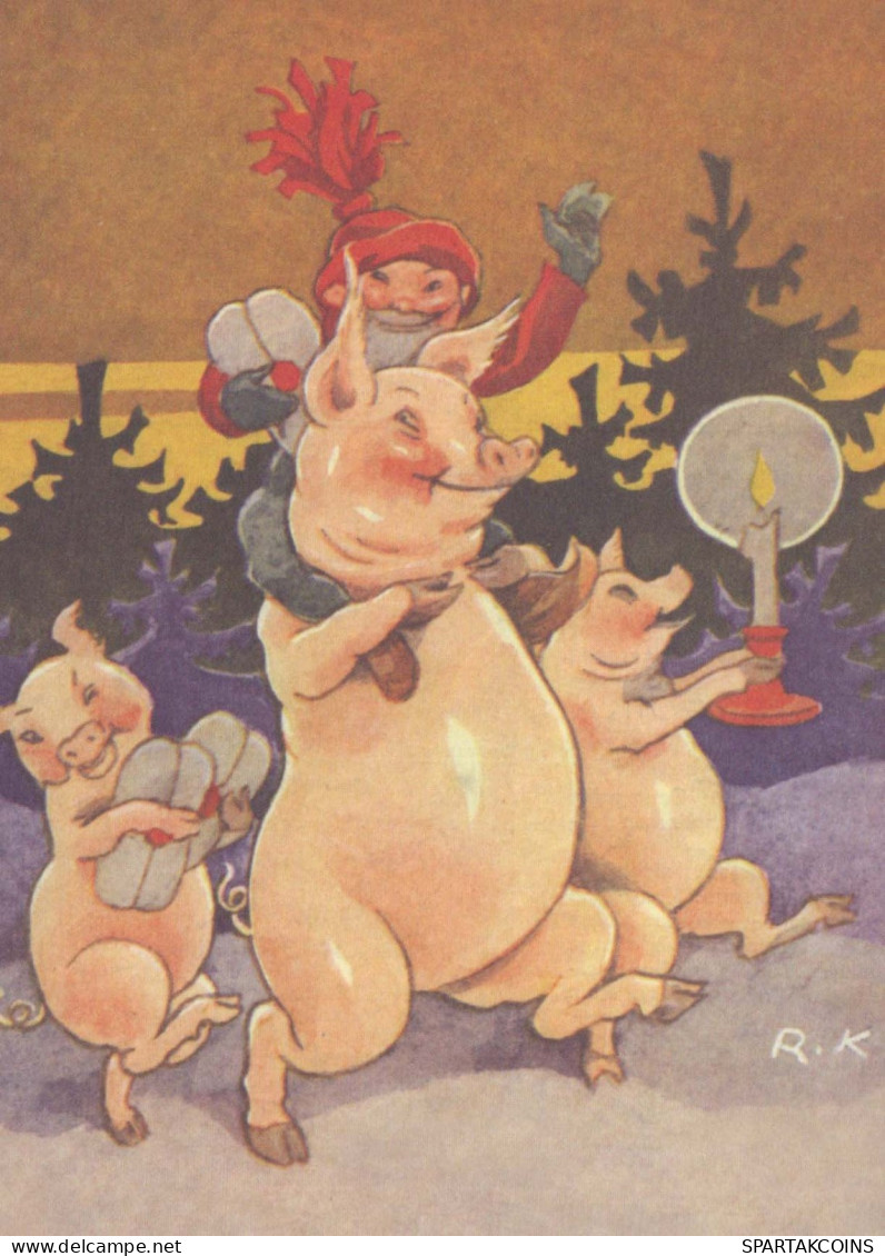 PIGS Tier Vintage Ansichtskarte Postkarte CPSM #PBR768.A - Schweine