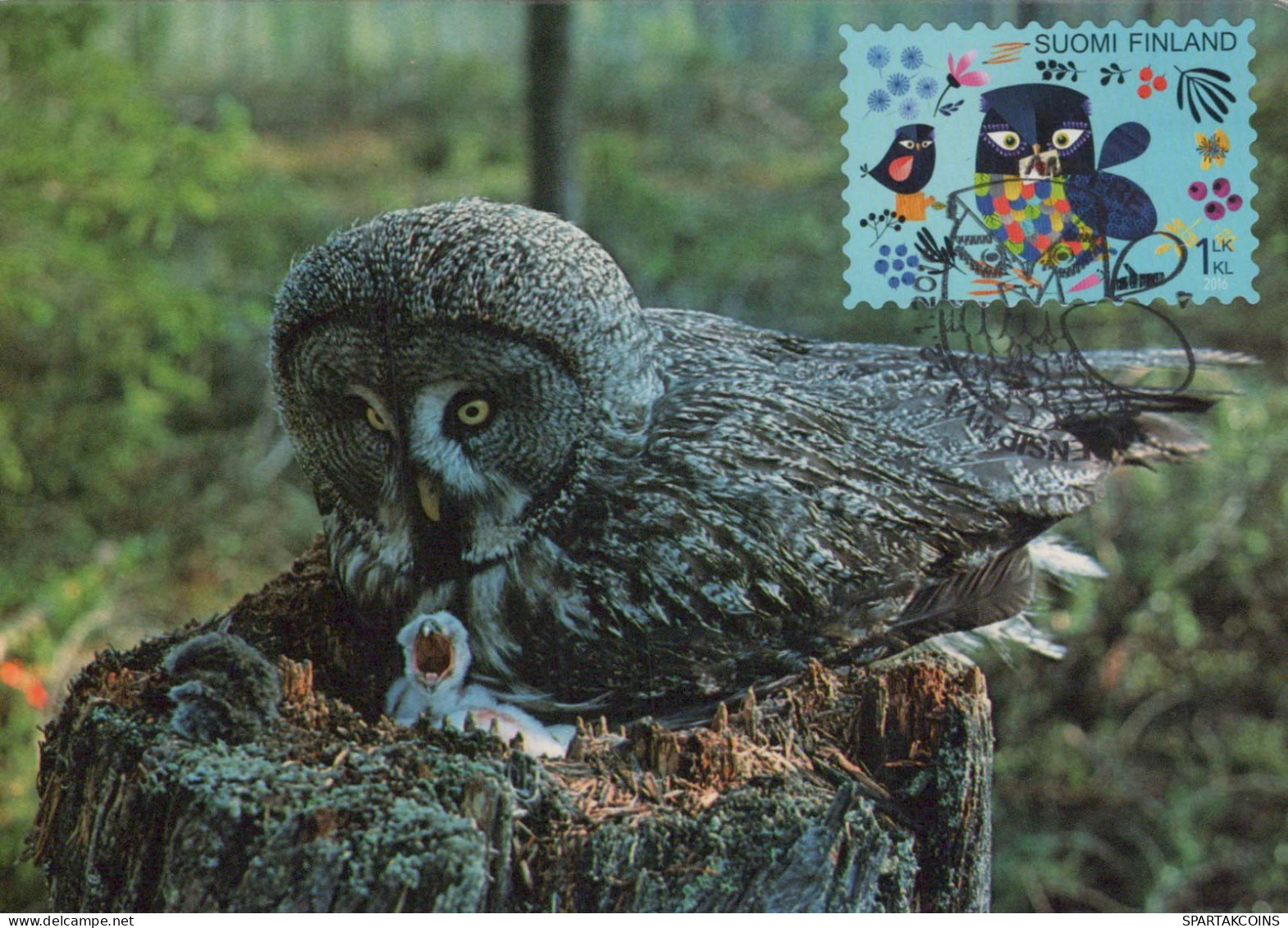 PÁJARO Animales Vintage Tarjeta Postal CPSM #PBR715.A - Birds