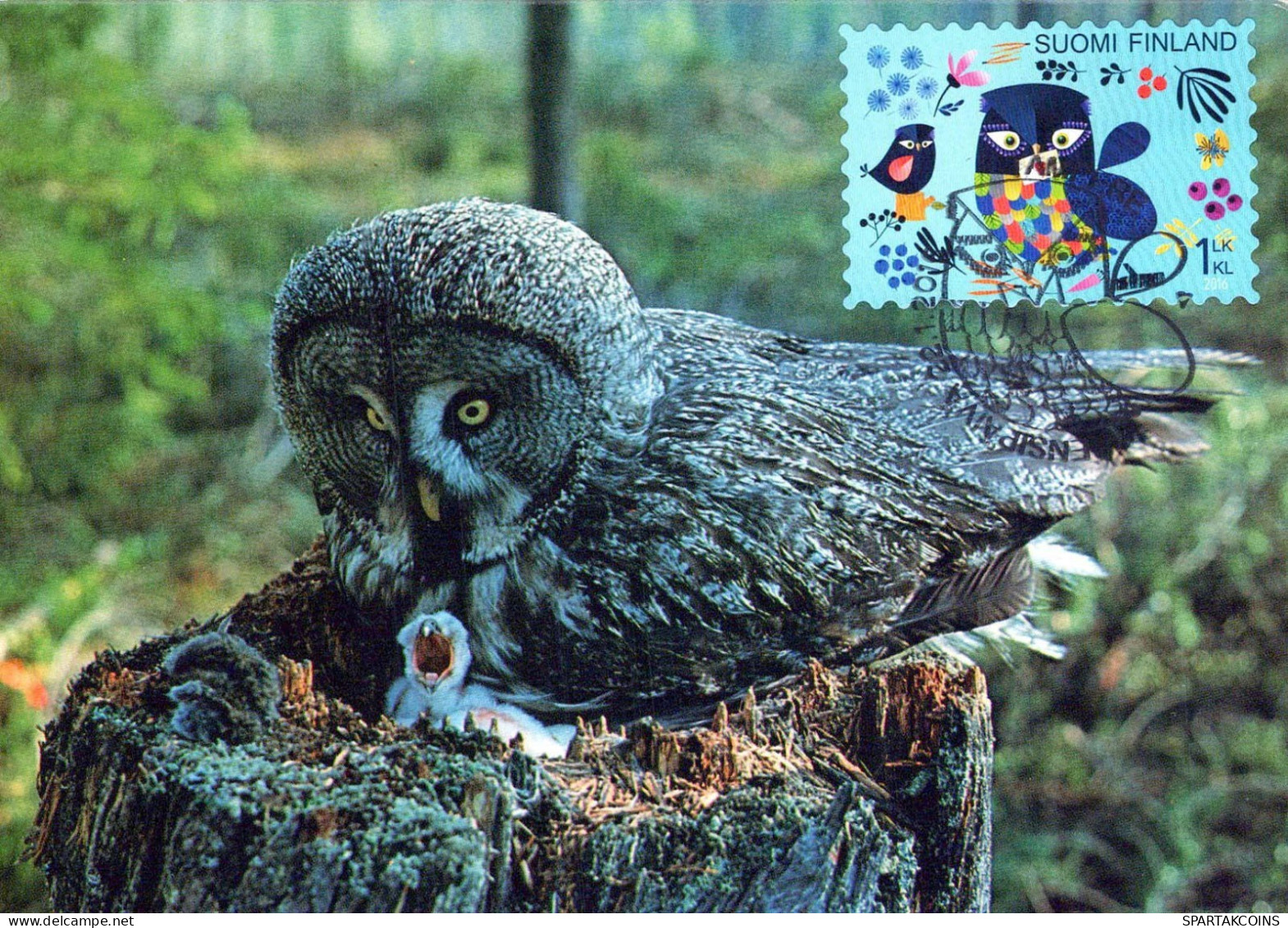 PÁJARO Animales Vintage Tarjeta Postal CPSM #PBR715.A - Oiseaux