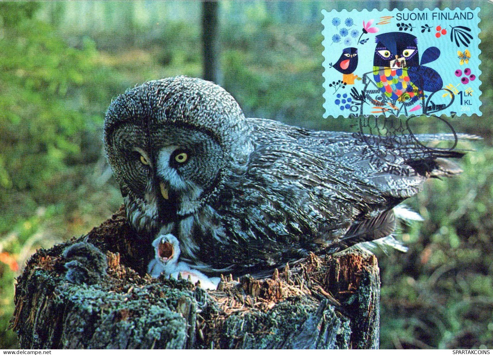 PÁJARO Animales Vintage Tarjeta Postal CPSM #PBR715.A - Vögel