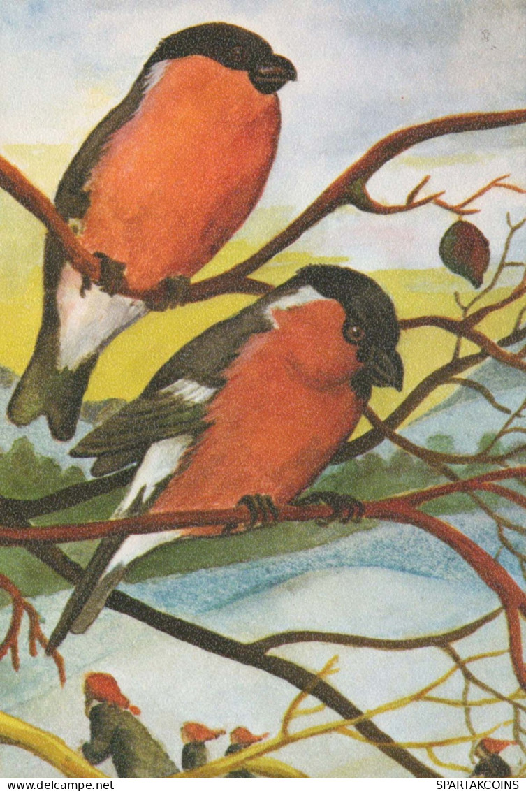 PÁJARO Animales Vintage Tarjeta Postal CPSM #PBR505.A - Oiseaux