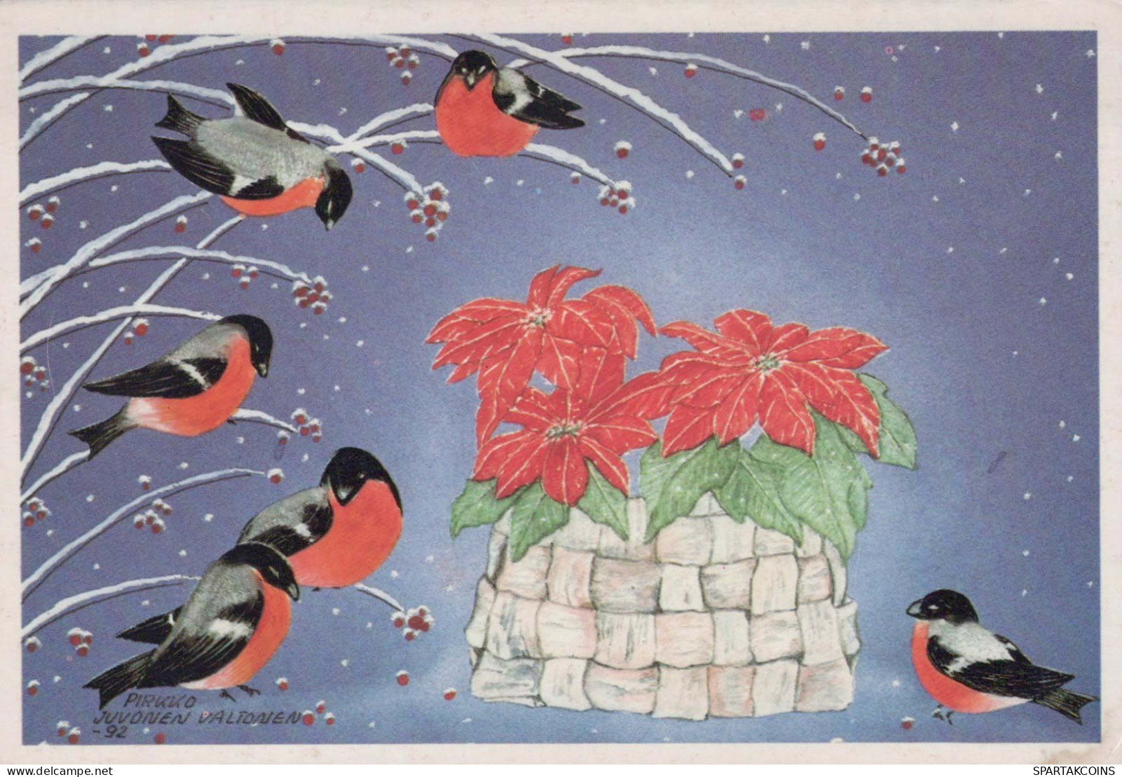 VOGEL Tier Vintage Ansichtskarte Postkarte CPSM #PBR393.A - Birds