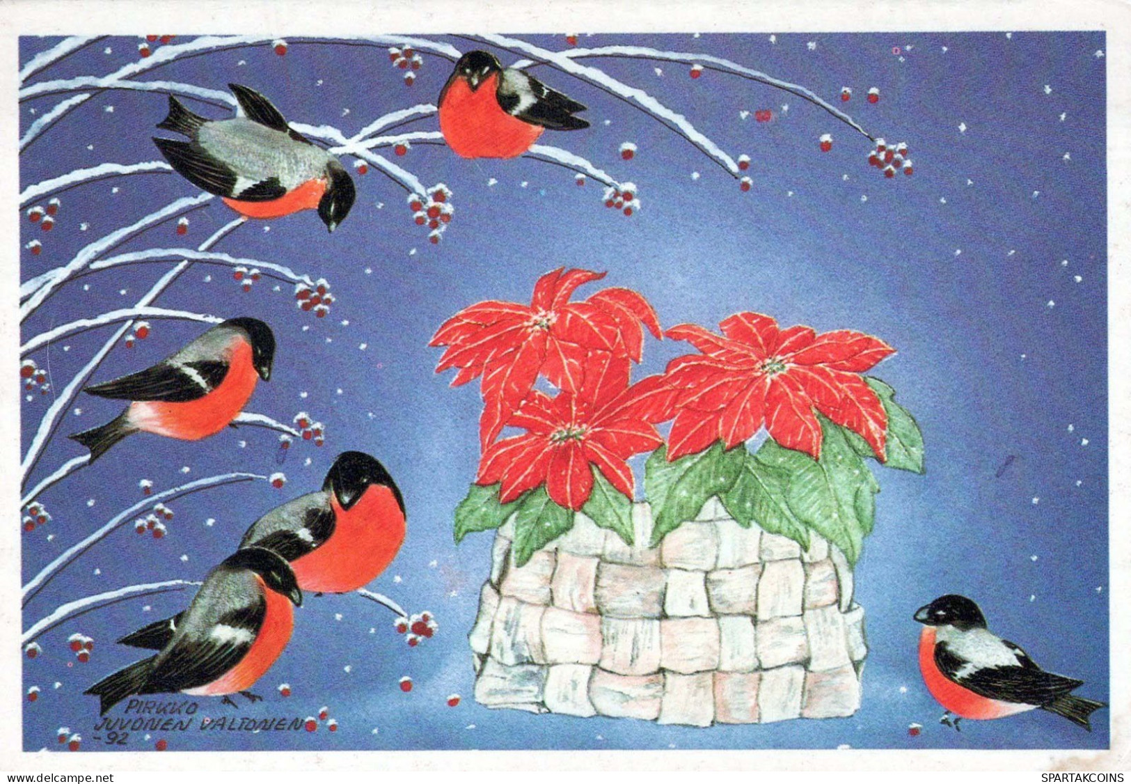 VOGEL Tier Vintage Ansichtskarte Postkarte CPSM #PBR393.A - Vögel