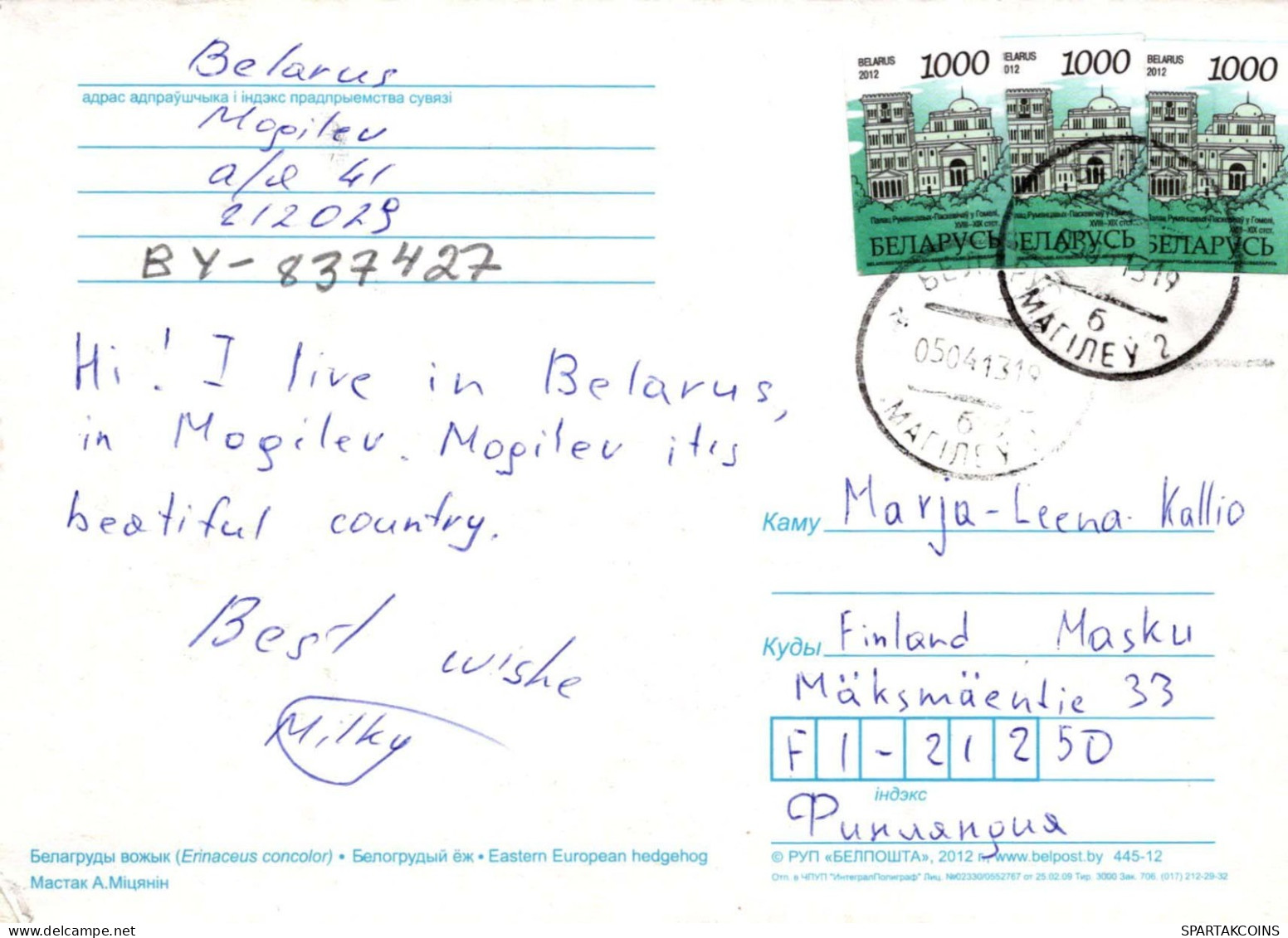 ERIZO Animales Vintage Tarjeta Postal CPSM #PBR190.A - Sonstige & Ohne Zuordnung