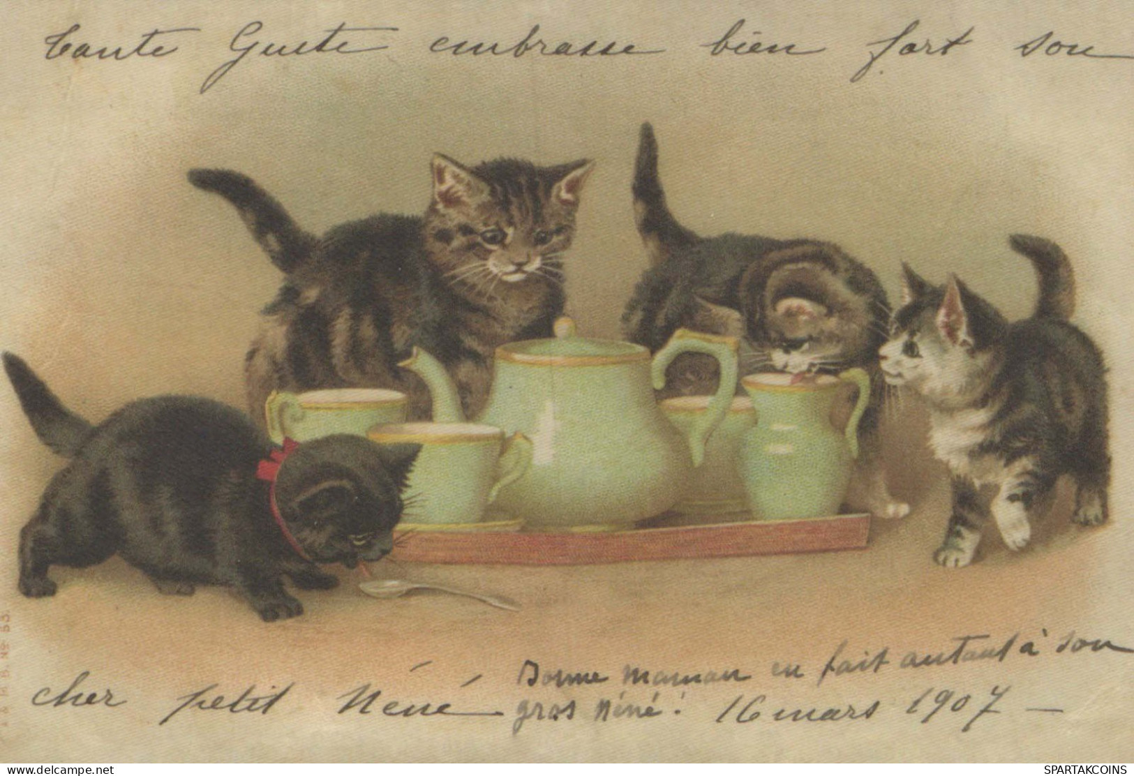 CAT KITTY Animals Vintage Postcard CPSM #PBR019.A - Cats