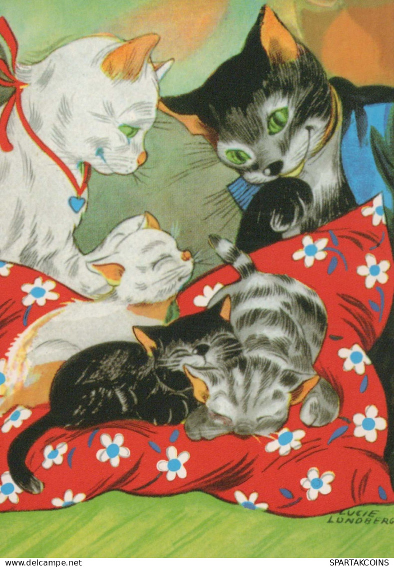 KATZE MIEZEKATZE Tier Vintage Ansichtskarte Postkarte CPSM #PBQ947.A - Katzen