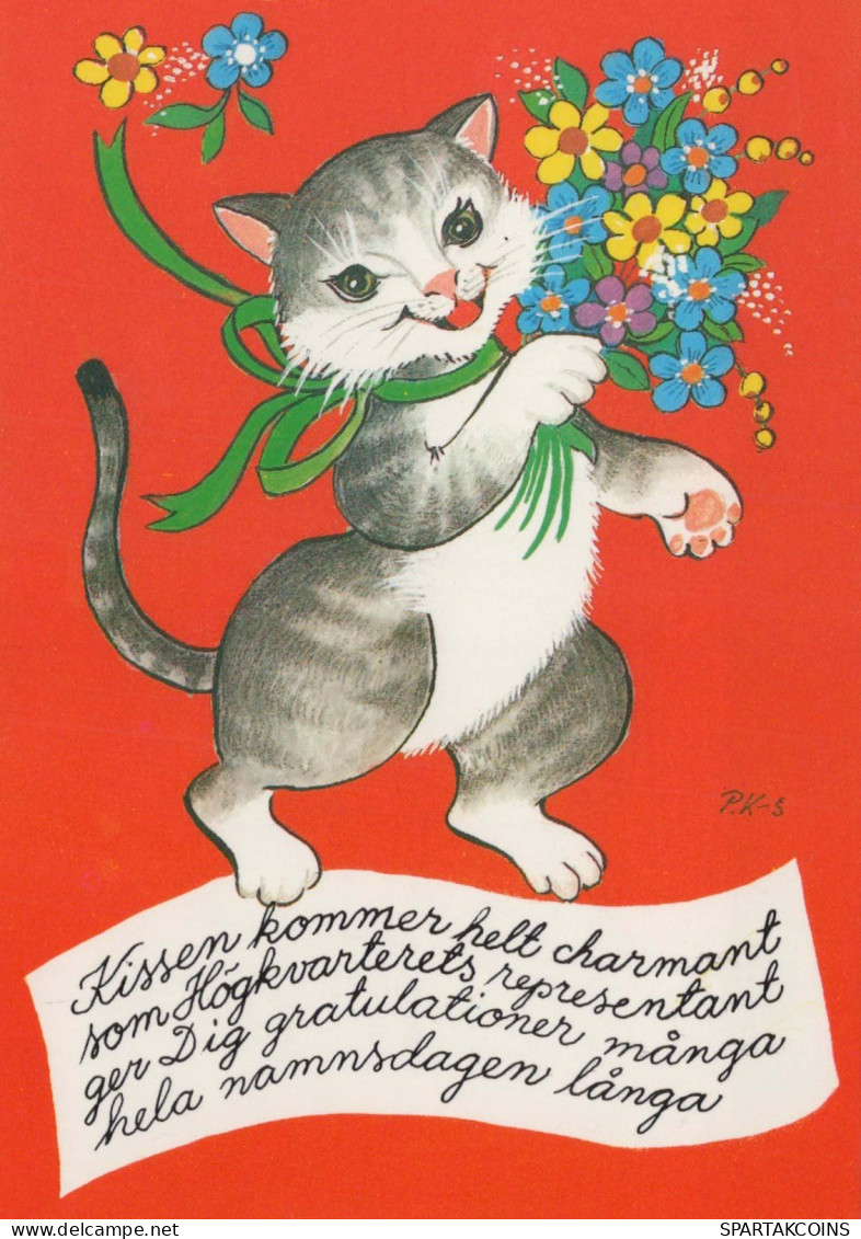 CHAT CHAT Animaux Vintage Carte Postale CPSM #PBQ971.A - Chats