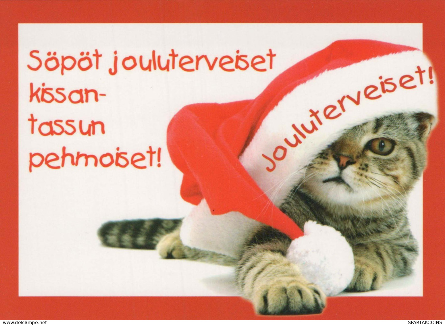 CAT KITTY Animals Vintage Postcard CPSM #PBQ888.A - Katzen
