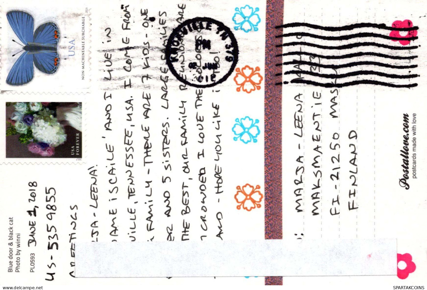 KATZE MIEZEKATZE Tier Vintage Ansichtskarte Postkarte CPSM #PBQ862.A - Chats