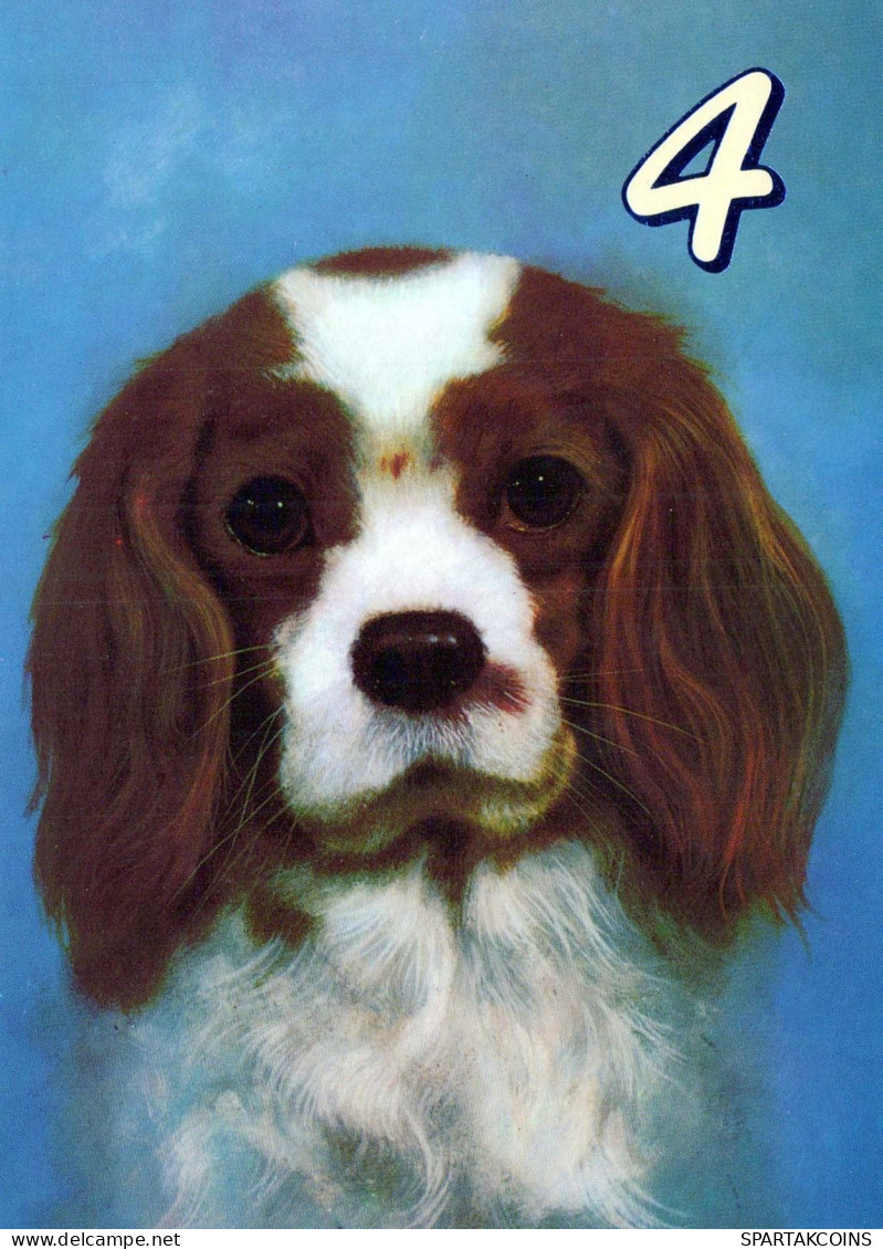 DOG Animals Vintage Postcard CPSM #PBQ618.A - Honden