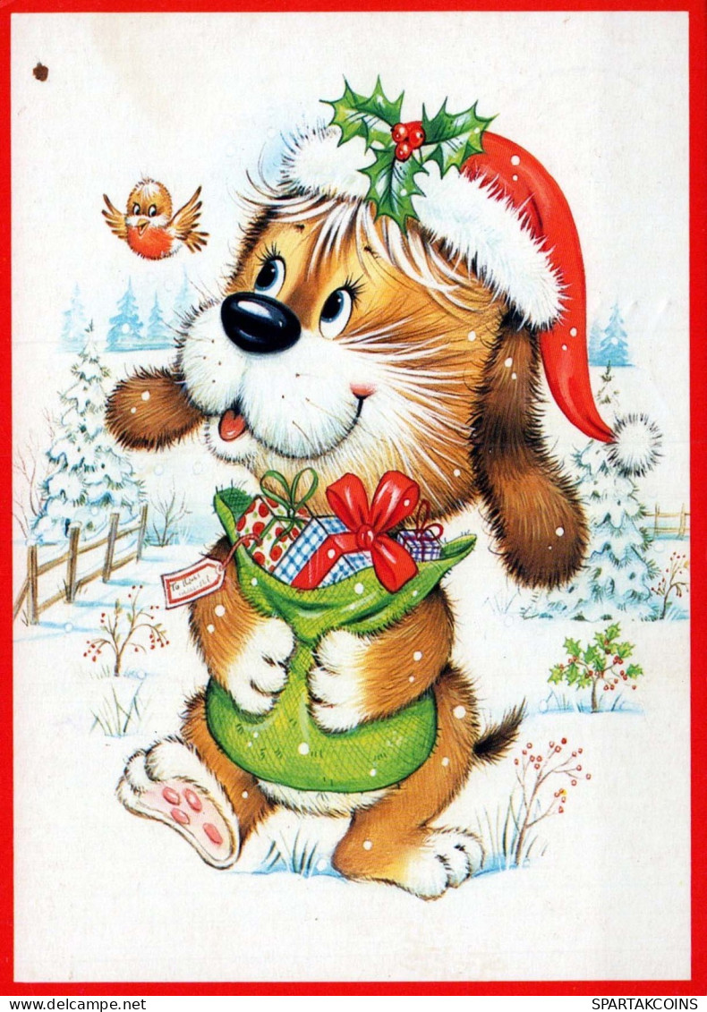 CANE Animale Vintage Cartolina CPSM #PBQ520.A - Hunde