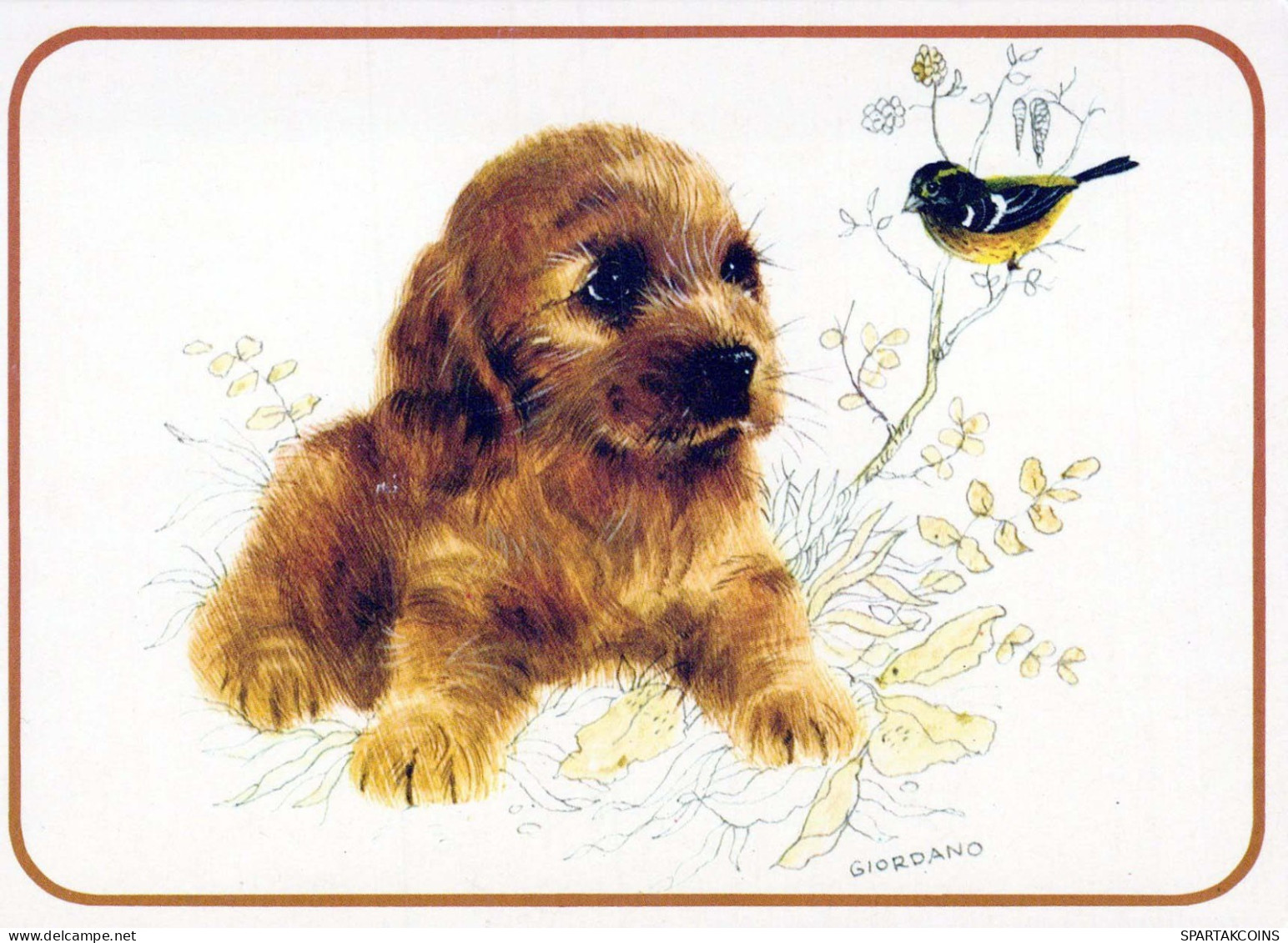 DOG Animals Vintage Postcard CPSM #PBQ423.A - Chiens