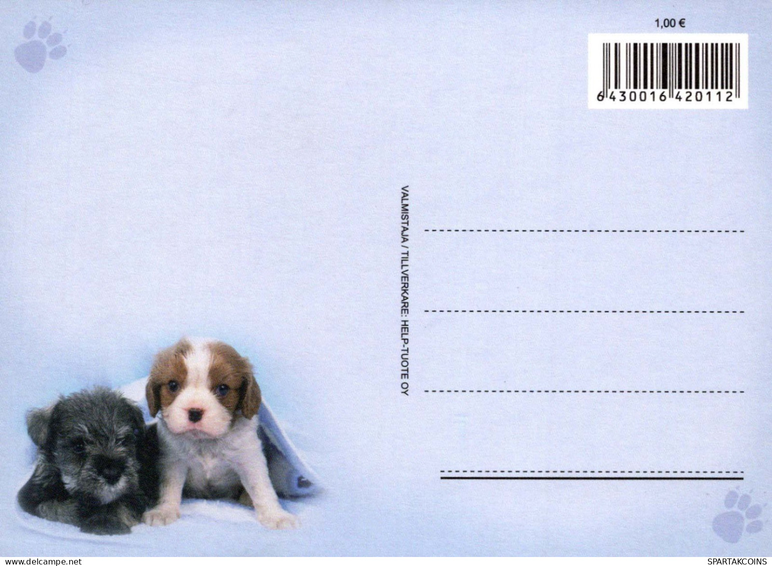 HUND Tier Vintage Ansichtskarte Postkarte CPSM #PBQ402.A - Cani