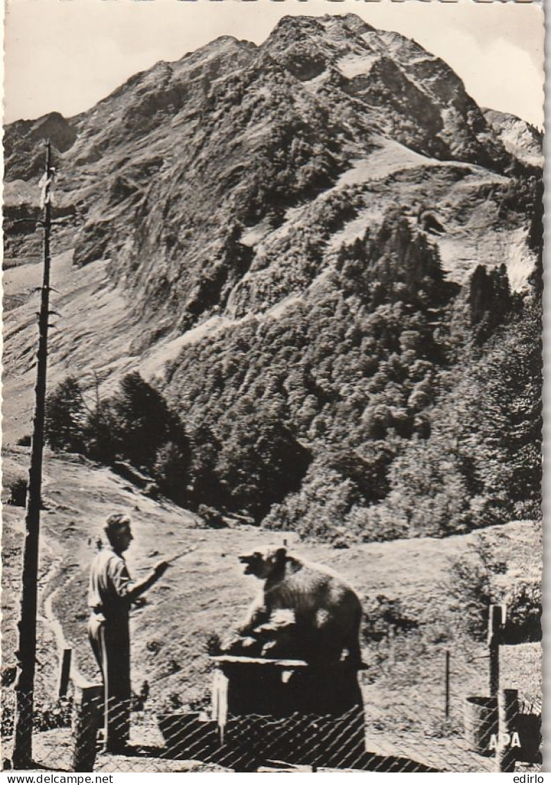 *** 31 ****  Le Venasque à L'Hospice De France  L'Ours Neuve TTB - Autres & Non Classés