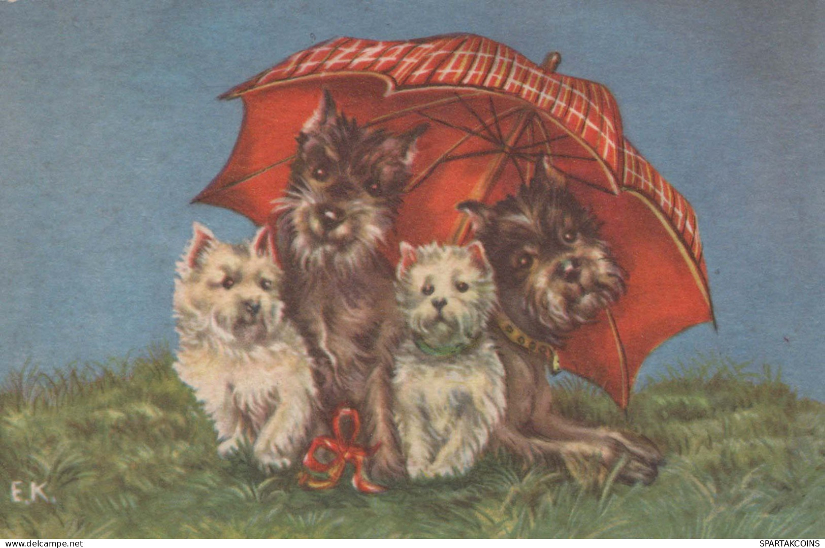 HUND Tier Vintage Ansichtskarte Postkarte CPA #PKE800.A - Honden