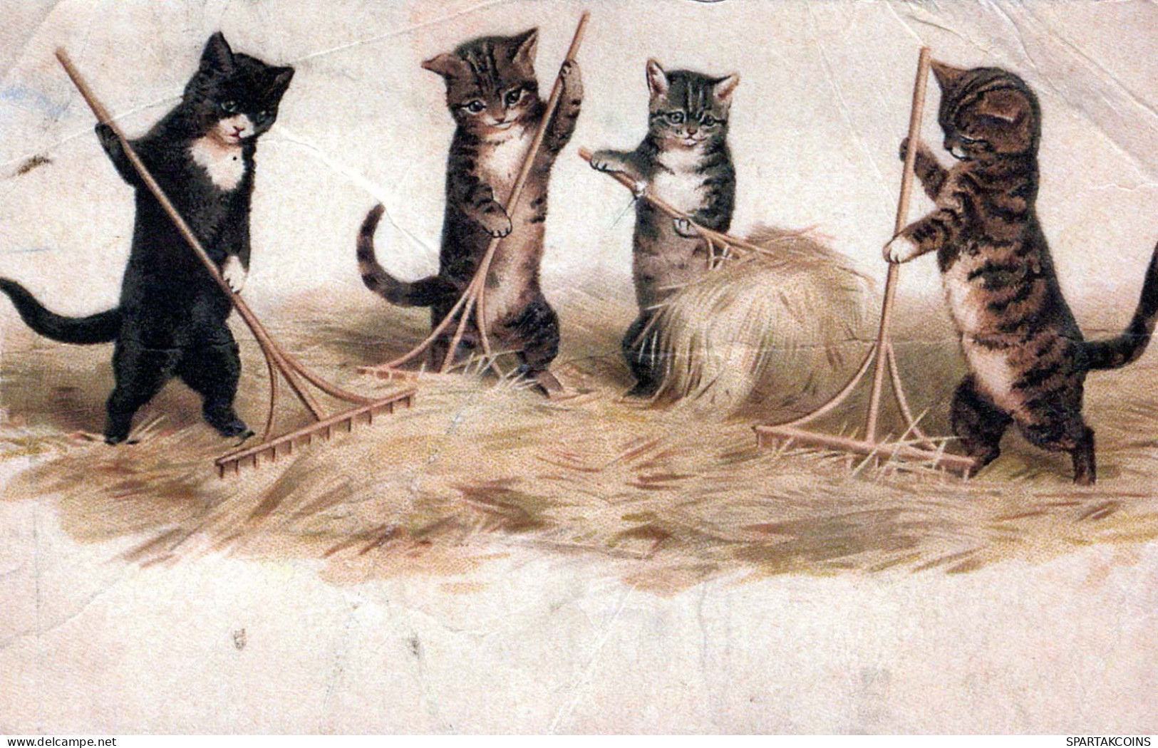 CAT KITTY Animals Vintage Postcard CPA #PKE751.A - Cats
