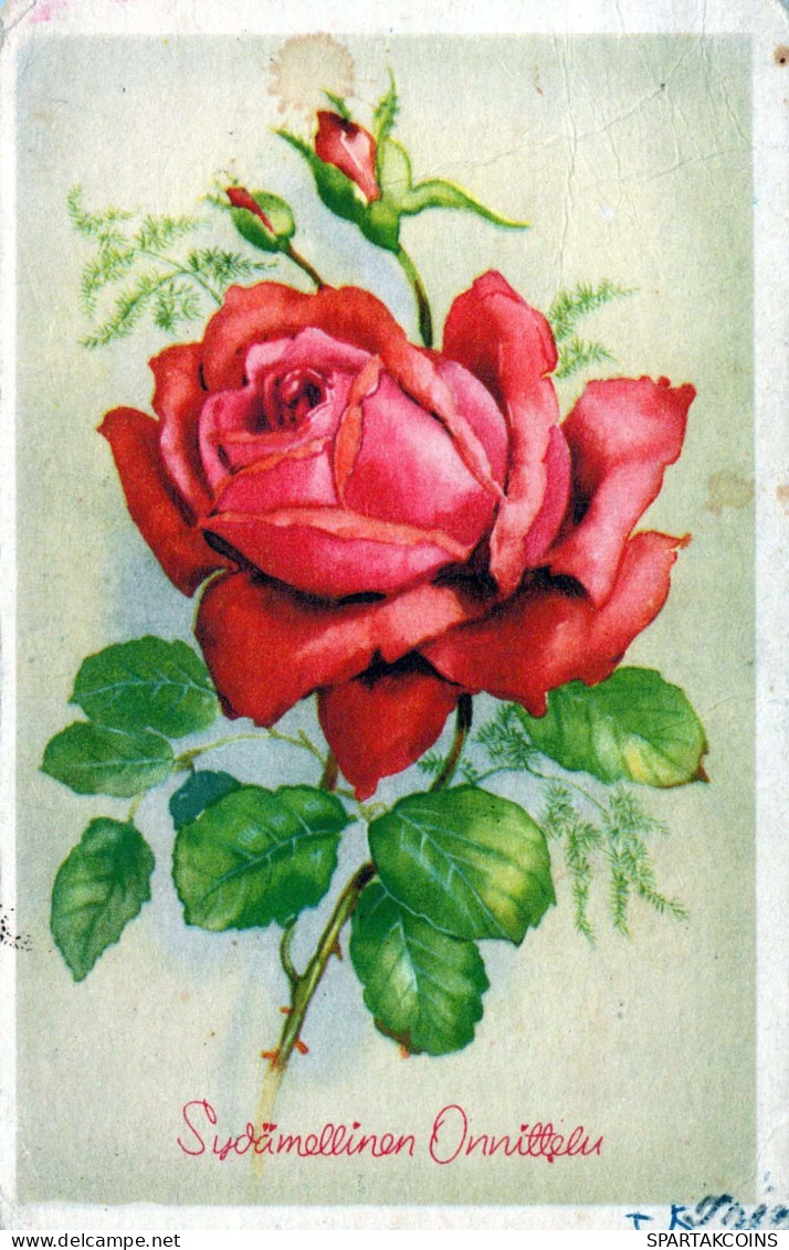 FLORES Vintage Tarjeta Postal CPA #PKE652.A - Flowers