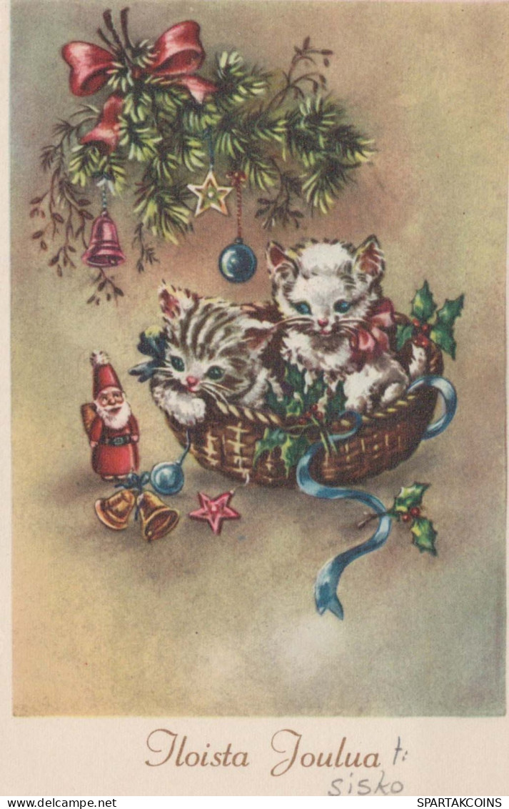GATTO KITTY Animale Vintage Cartolina CPA #PKE753.A - Cats