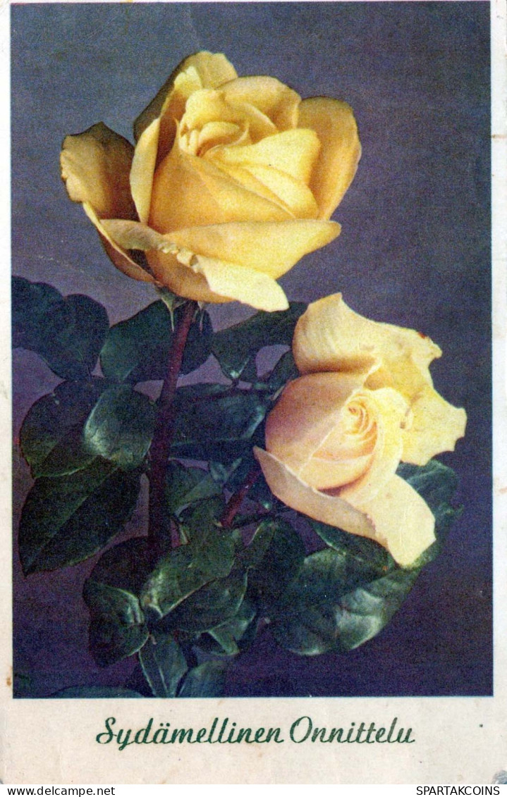 FLEURS Vintage Carte Postale CPA #PKE614.A - Flowers