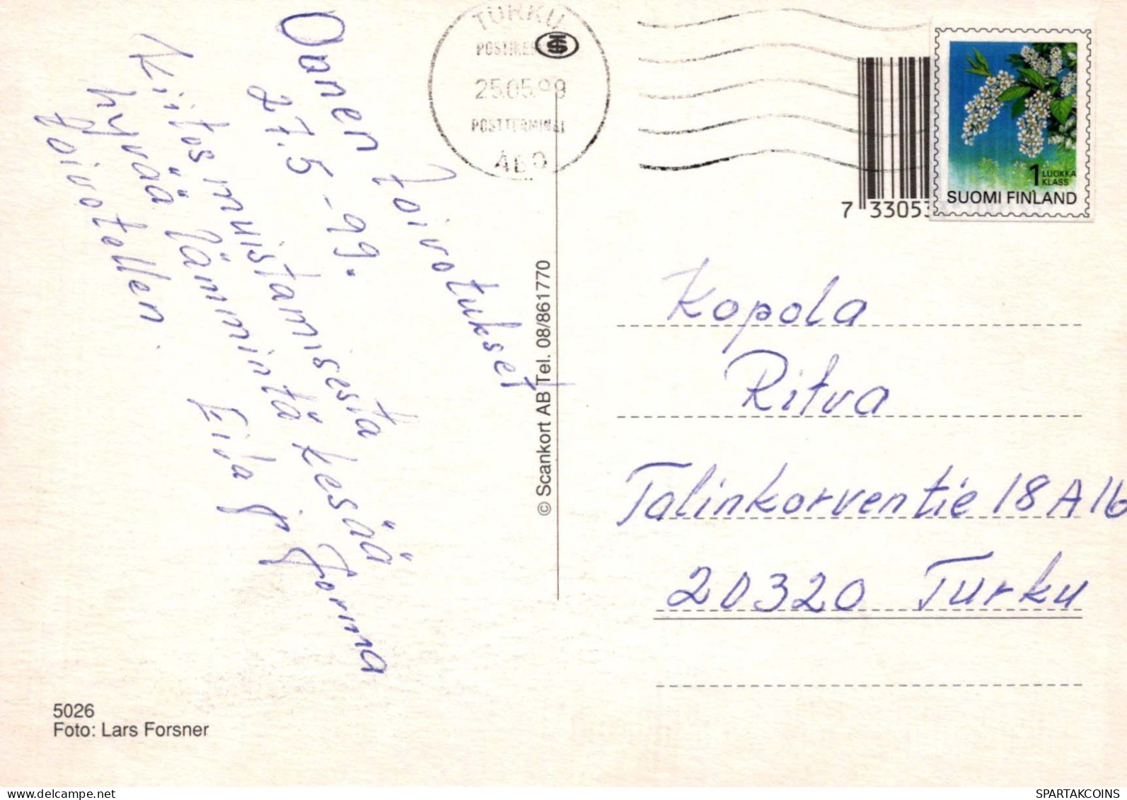 FIORI Vintage Cartolina CPSM #PBZ391.A - Blumen