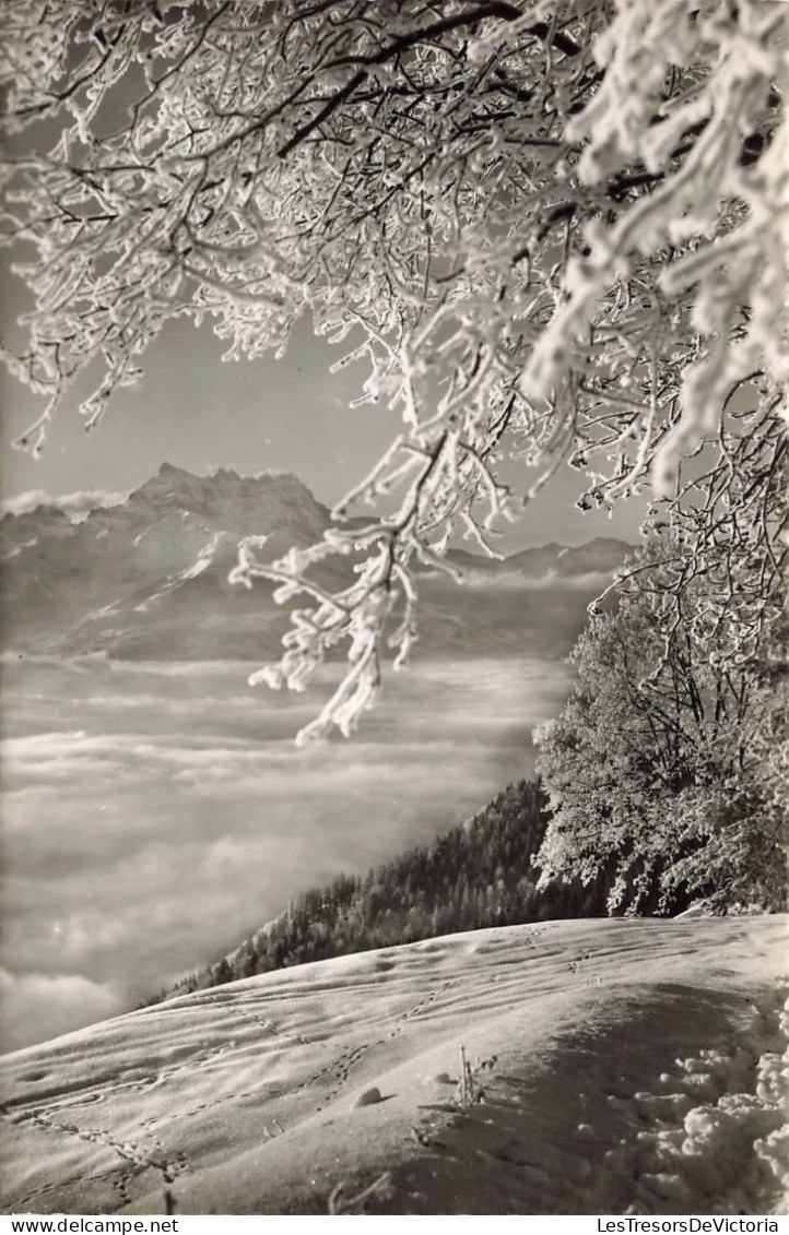 SUISSE - Leysin - Les Dents Du Midi Et La Mer De Nuages - Vue Générale - Carte Postale - Leysin