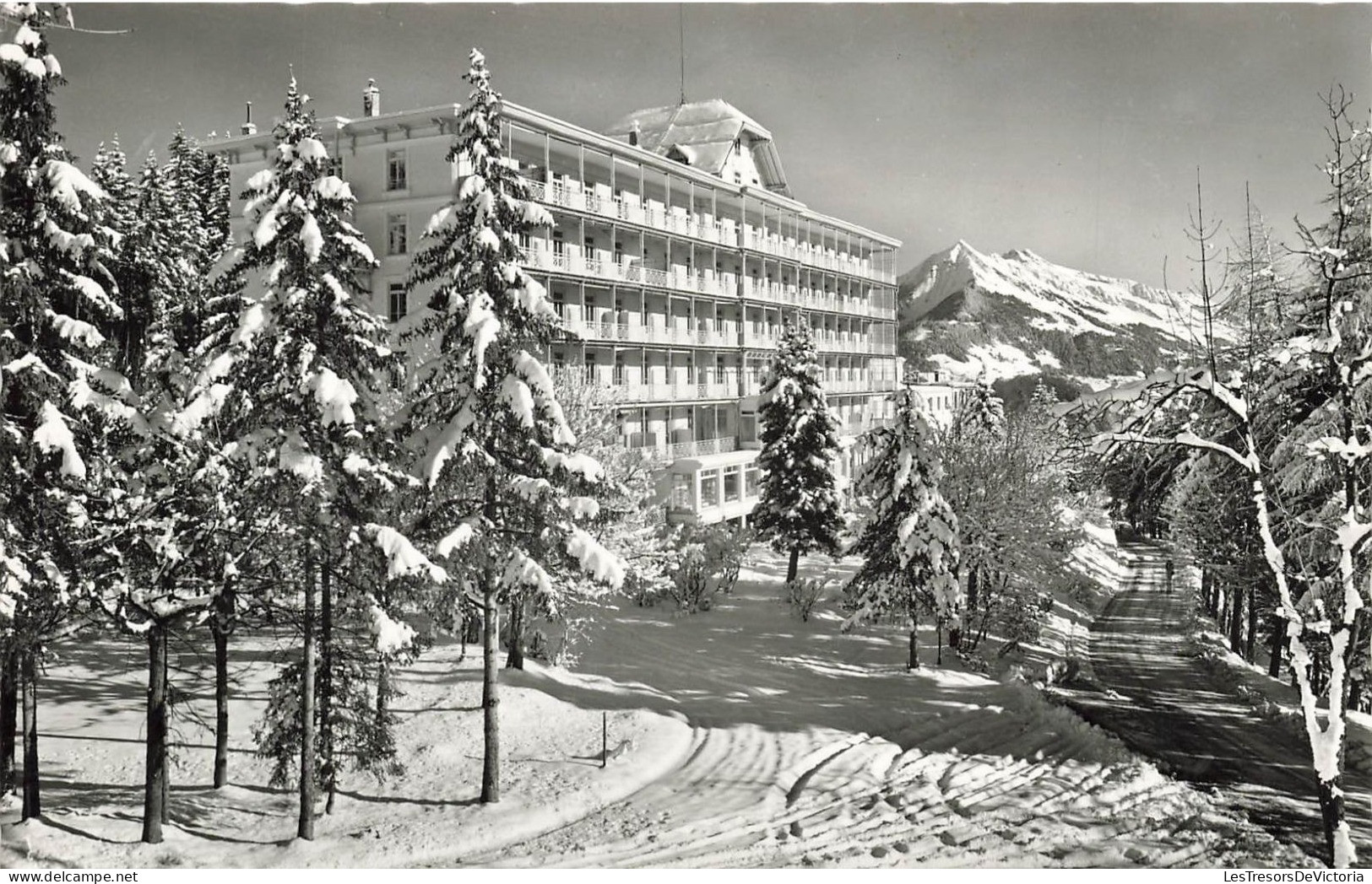 SUISSE - Le Charleston - Club Méditerranée - Leysin - Vue Panoramique - Carte Postale - Leysin