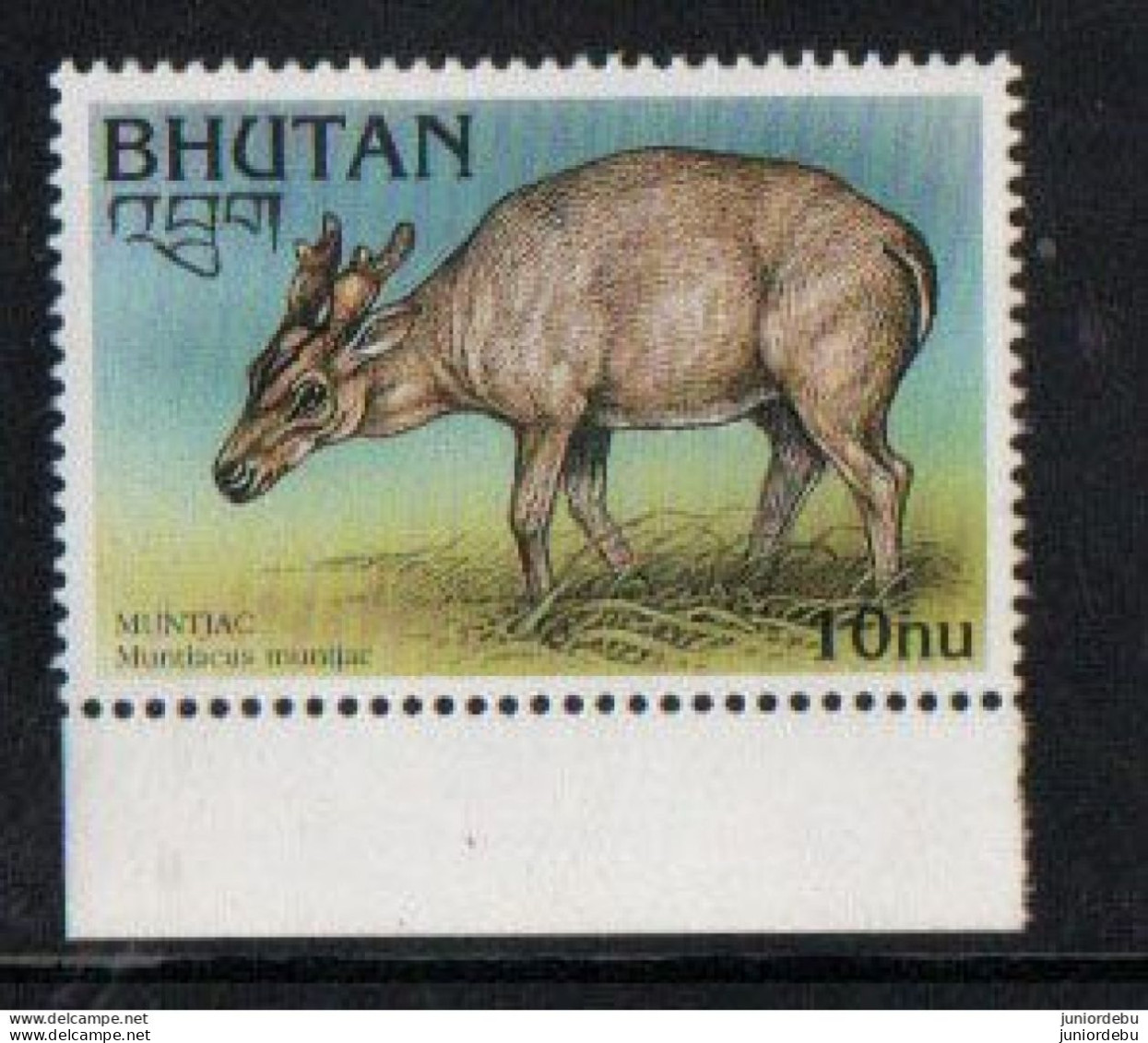 Bhutan  - 1997 - Endangered Species - 	Muntiacus Muntjak - MNH ( OL 18/03/2023 ) - Bhutan