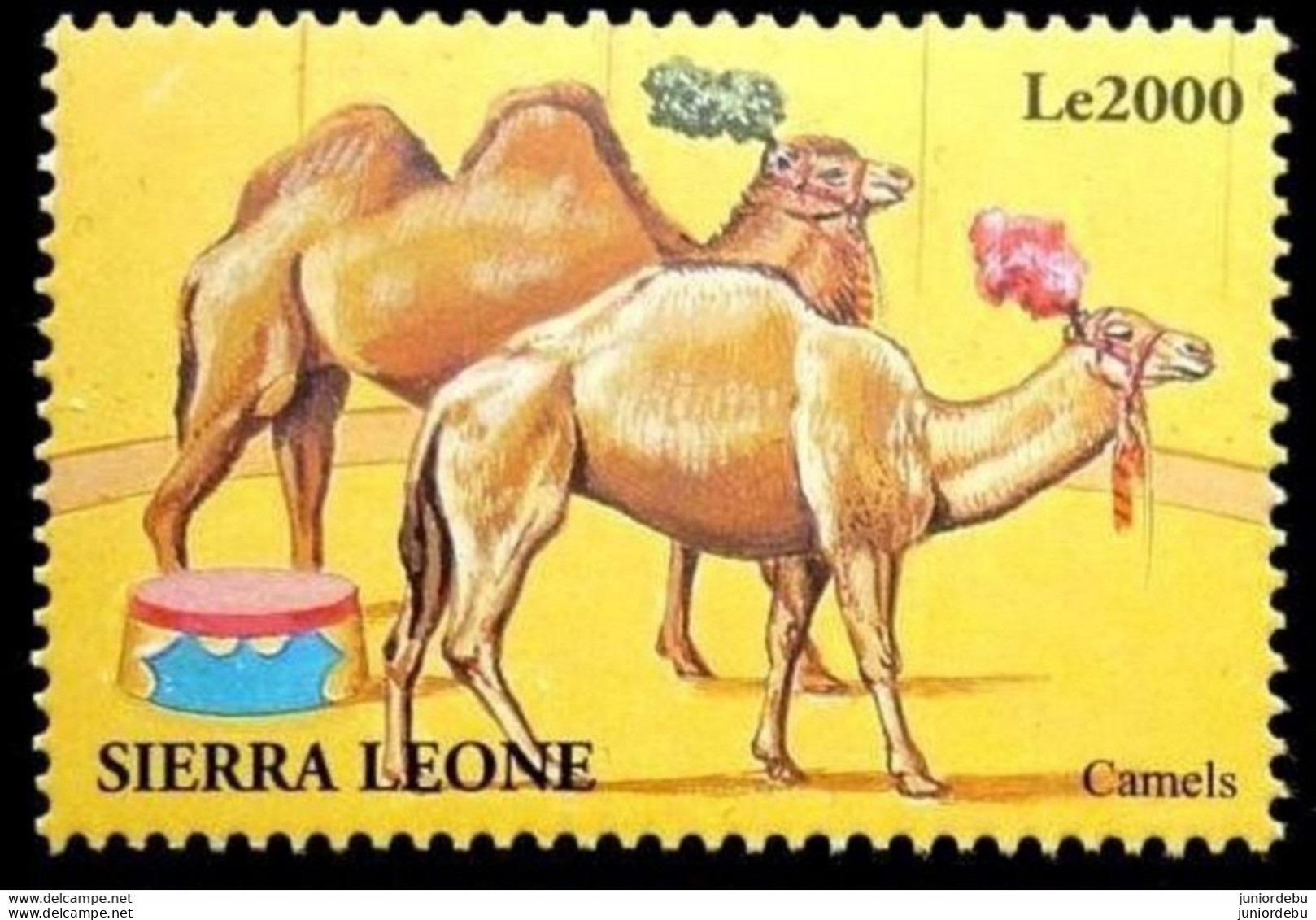 Sierra Leone - 2000 - Camels  - MNH. ( OL 03/03/2022 ) - Sierra Leone (1961-...)