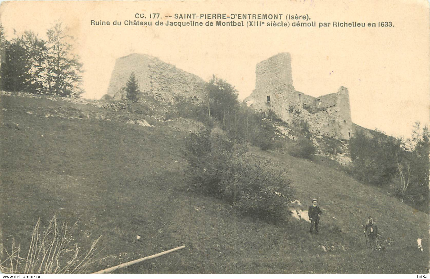 38 - SAINT PIERRE D'ENTREMONT - RUINE DU CHÂTEAU - Saint-Pierre-d'Entremont