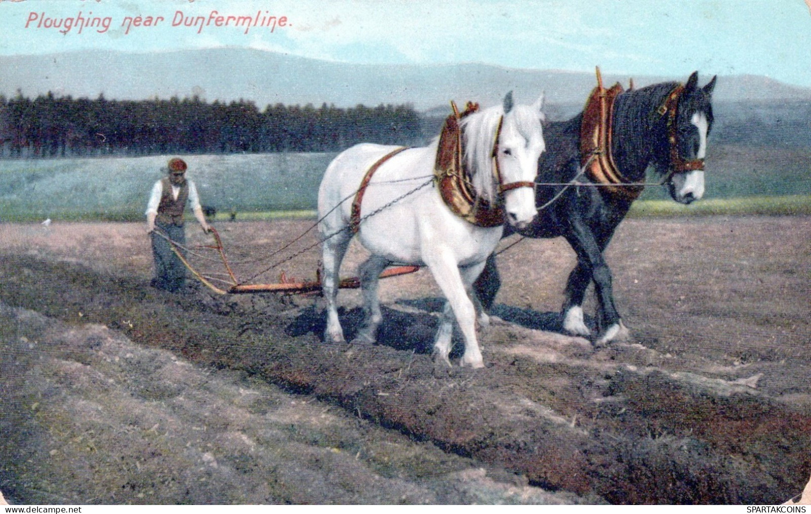 ASINO Animale Vintage CPA Cartolina #PAA145.A - Donkeys