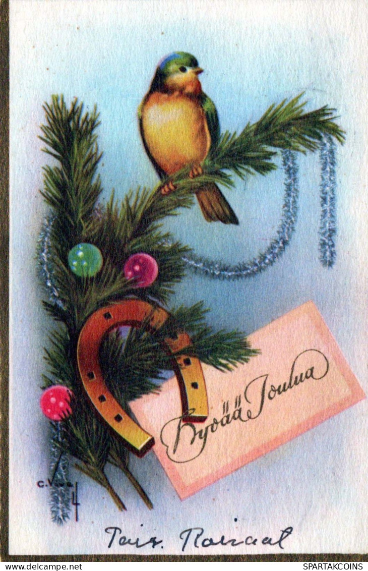 OISEAU Vintage Carte Postale CPSMPF #PKG972.A - Vögel