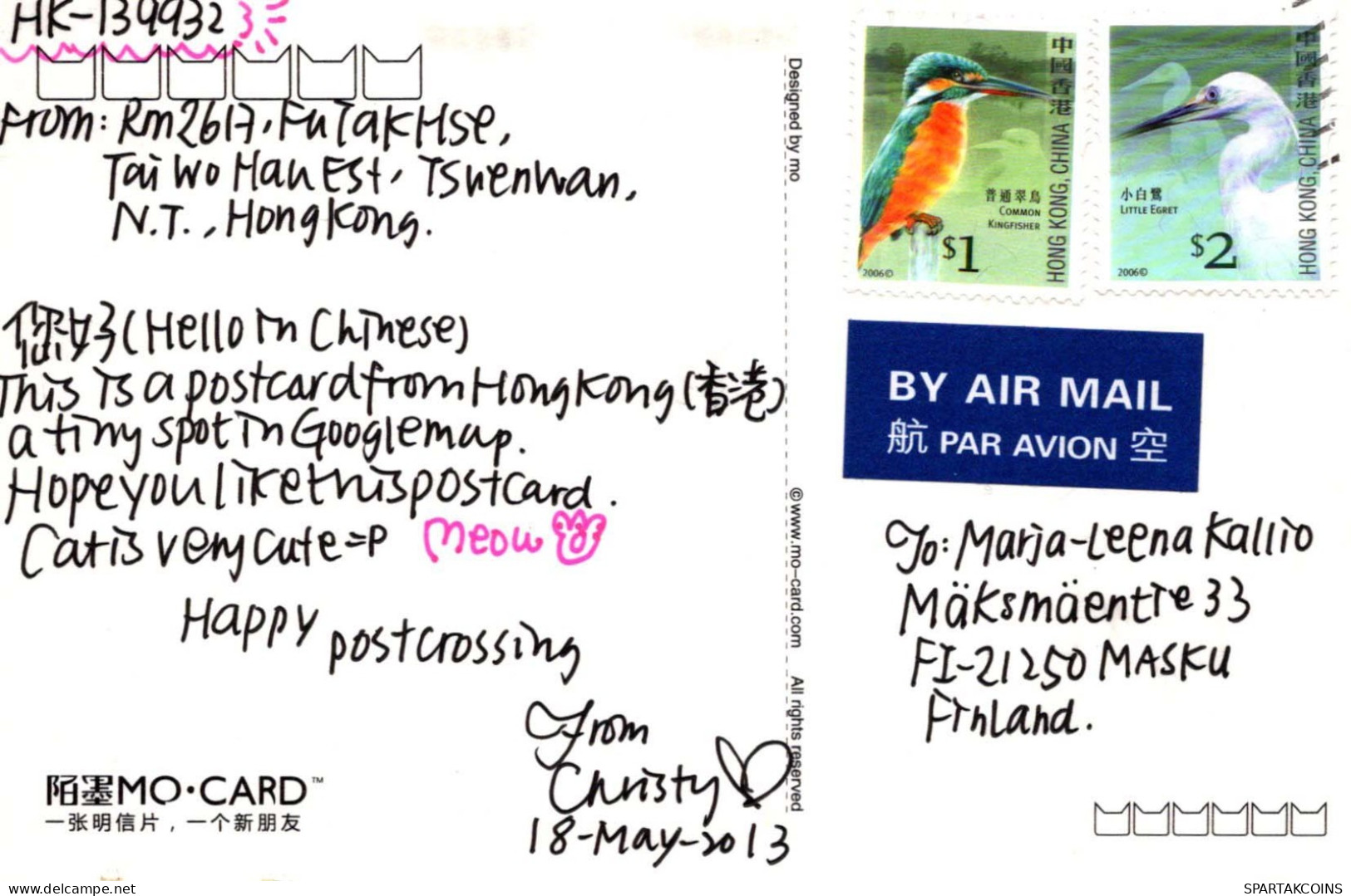 CAT Vintage Postcard CPSMPF #PKG919.A - Chats