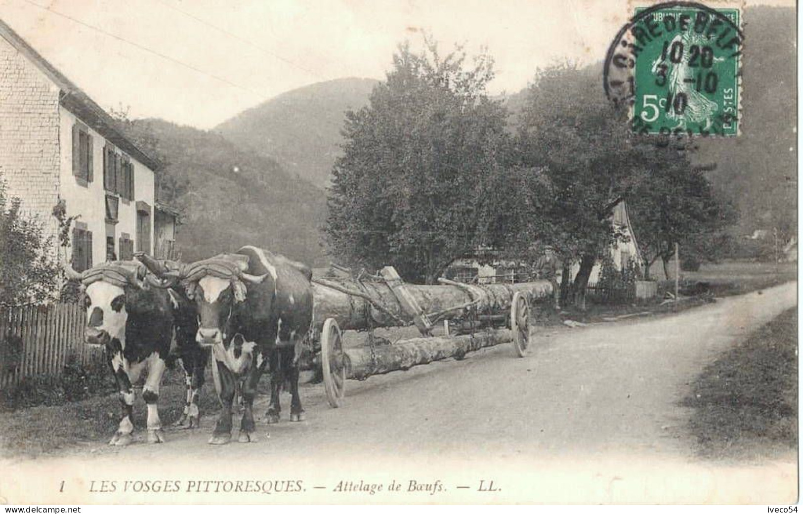 1910  Vosges  Pittoresques  " Attelage De Boeufs  " - Saint Die