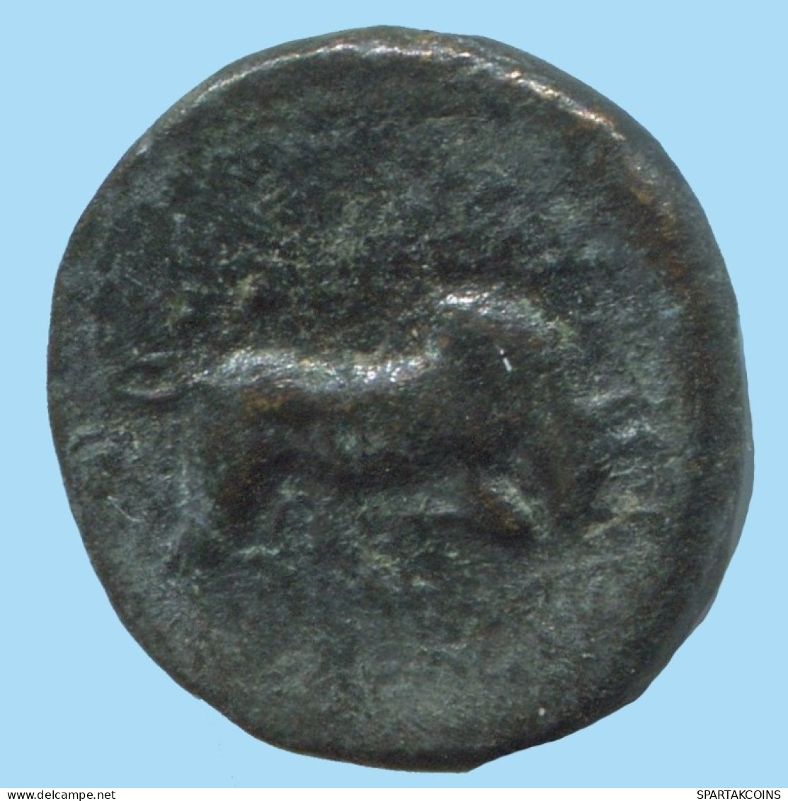 BULL AUTHENTIC ORIGINAL ANCIENT GREEK Coin 2.3g/14mm #AG156.12.U.A - Griegas